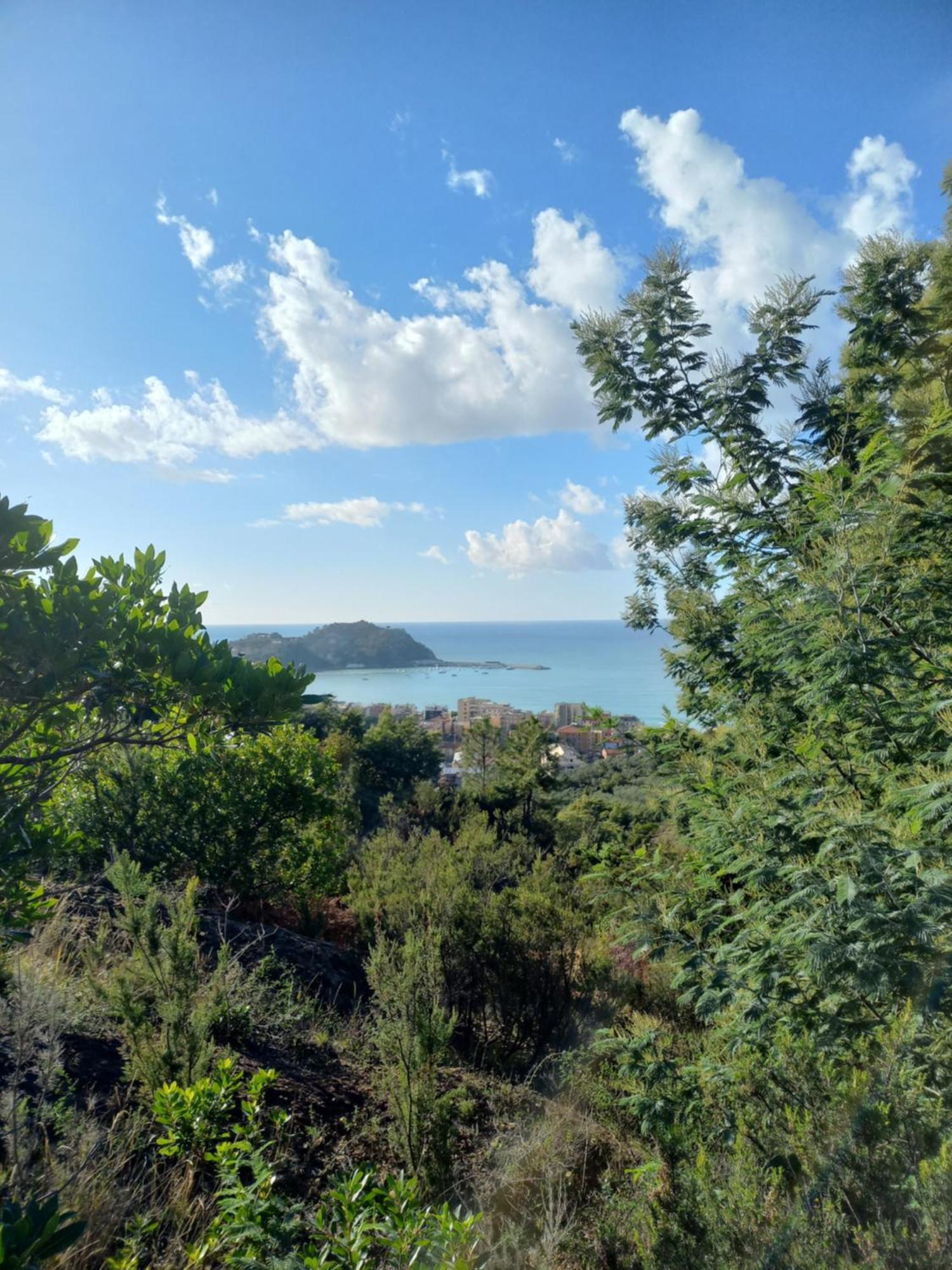 Cinque Terre & Portofino Apartment In Сестрі-Леванте Екстер'єр фото
